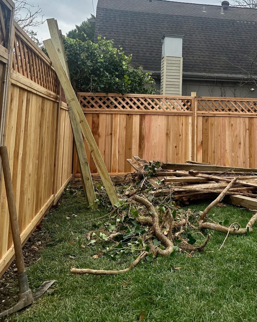 Fencing | Spring Cleanup