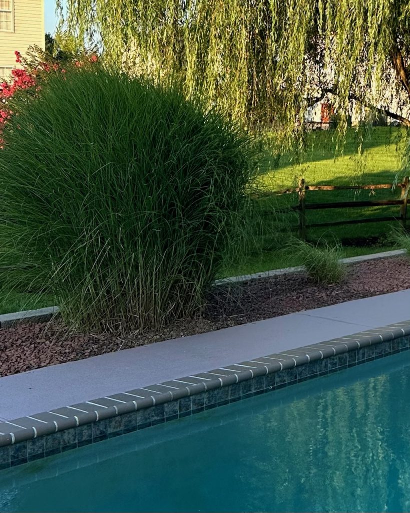 Hardscaping_FullSize_R62