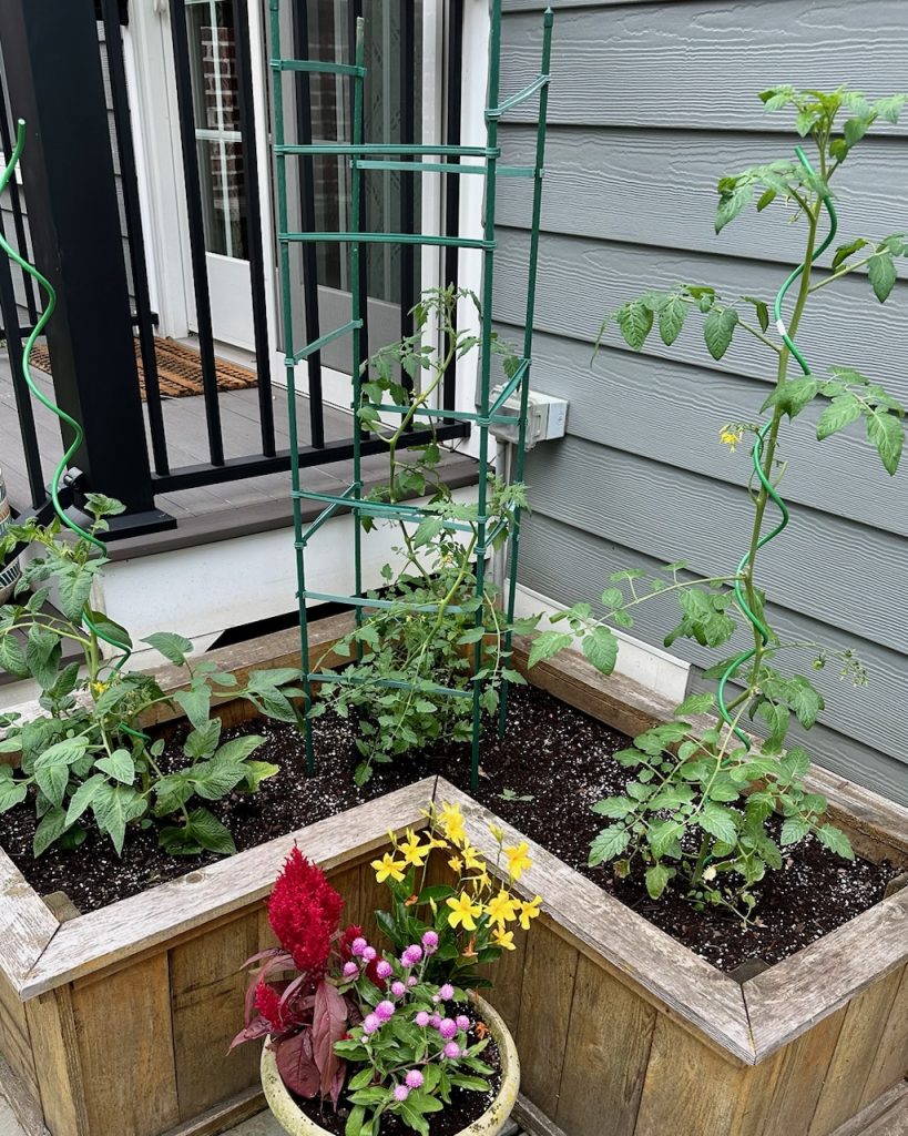 Hardscaping_IMG_4328