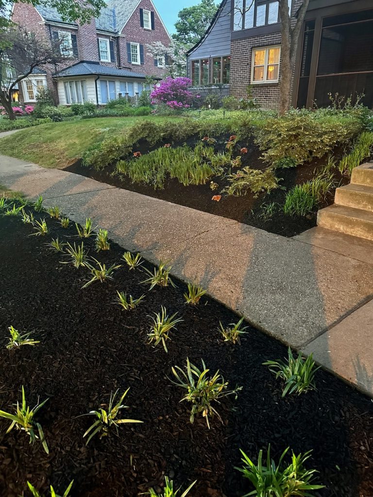 Hardscaping_IMG_9679