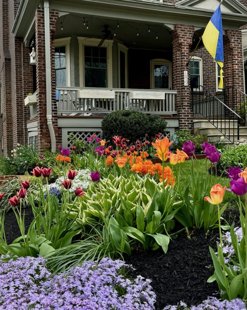 FullSizeR.jpg – 2024-04-29T124010.730